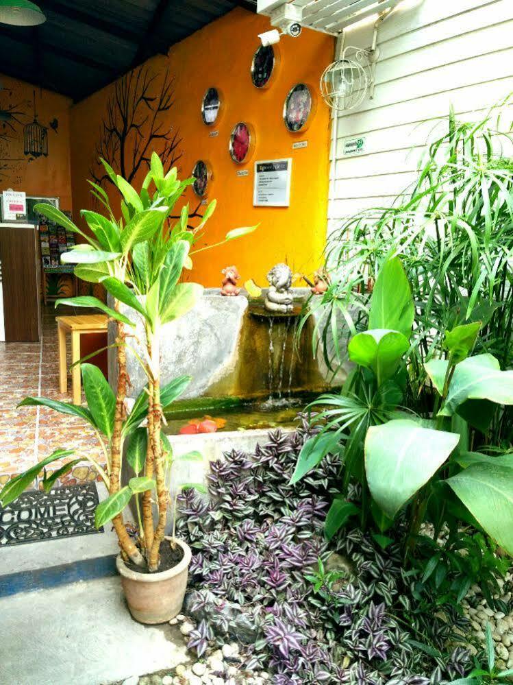 Yin Yang Guesthouse Chiang Mai Buitenkant foto